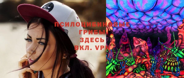сатива Бугульма